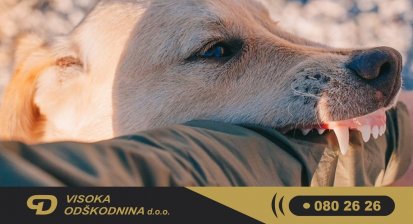 Kaj storiti, če vas ugrizne pes?