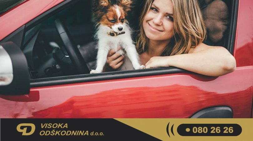 Vožnja v družbi hišnega ljubljenčka